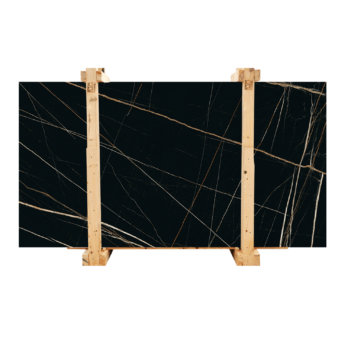 Black Aziza 10001