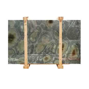 Turtle 1002
