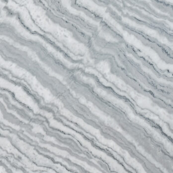 Zebra White 101