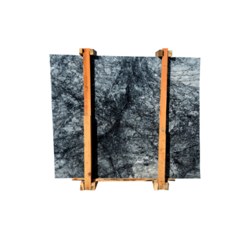 Black Olive 1006