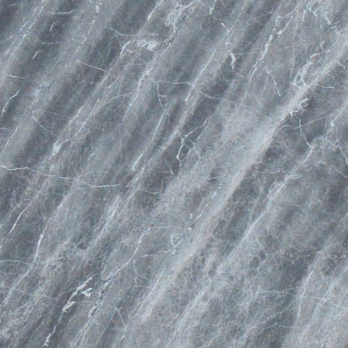 Zebra Grey 101